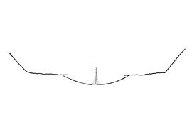   Anthidium hallinani  female, diagram showing the dorsal view of the sixth tergite (T6), diagram from Gonzalez and Griswold 2013 
